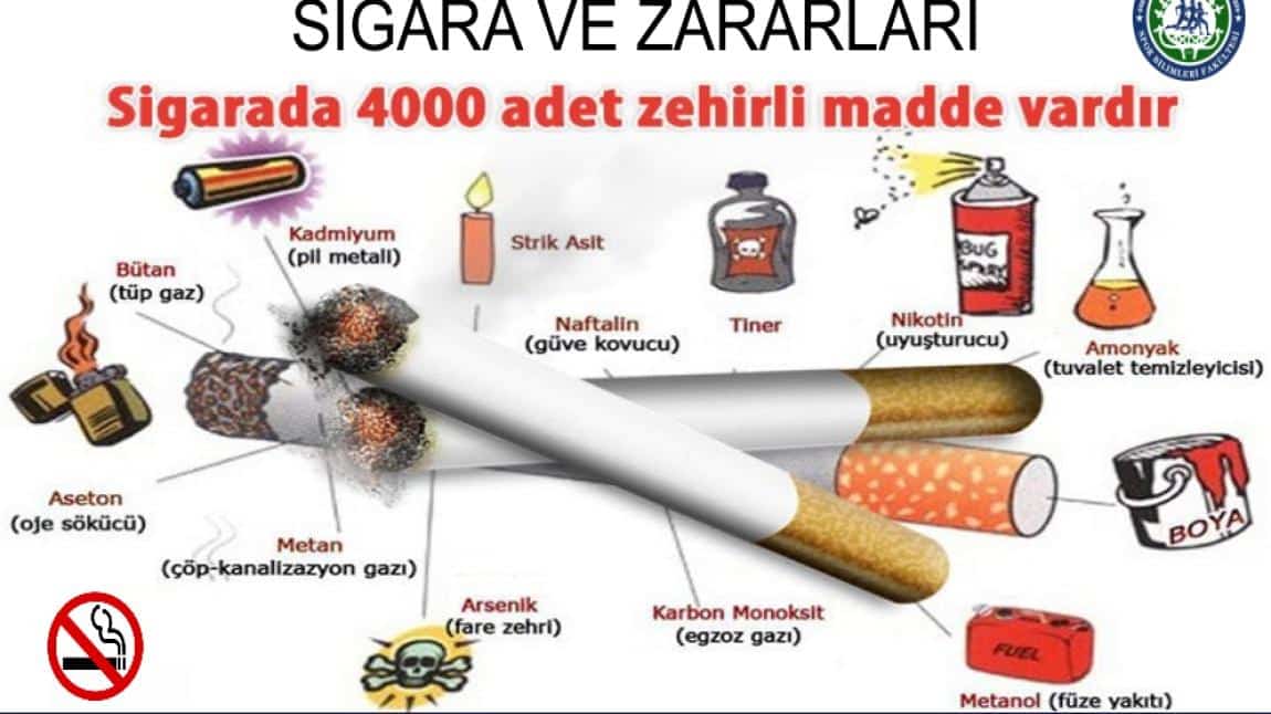 Öğrencilerimize Tütün Bağımlılığıyla İlgili Seminer Verilmiştir.